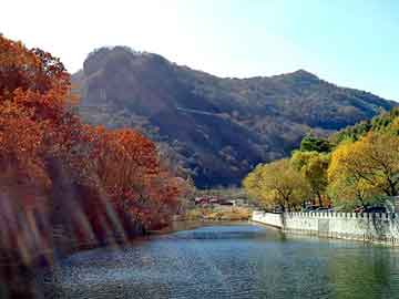 管家婆黑白马报图库，松滋seo程序